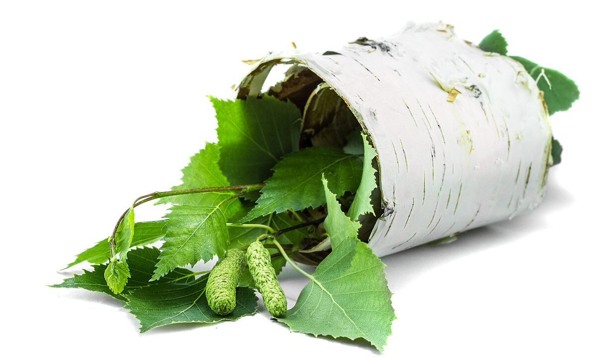 Birch and Bark Extract ως μέρος της Demyxil Cream
